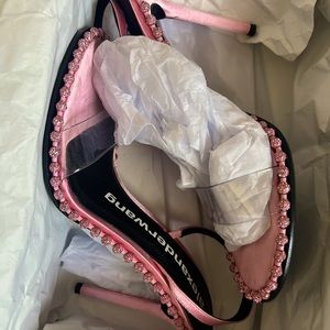 Alexander Wangs Heels